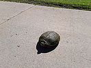 photo thumbnail #2