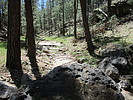 photo thumbnail #5