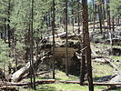 photo thumbnail #6