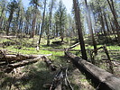 photo thumbnail #8