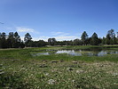 photo thumbnail #10