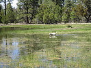 photo thumbnail #11