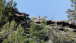 photo thumbnail #5