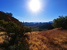 photo thumbnail #13