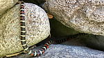 2019-04-28 :: Canyonish :: chumley