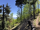 photo thumbnail #3