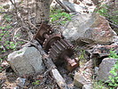photo thumbnail #1
