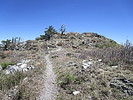 photo thumbnail #6