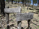 photo thumbnail #13