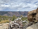 photo thumbnail #4