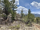 photo thumbnail #8