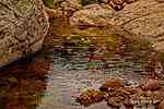 photo thumbnail #15