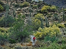 photo thumbnail #9