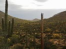 photo thumbnail #10