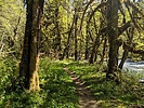photo thumbnail #3