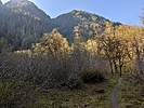 photo thumbnail #8