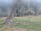photo thumbnail #14