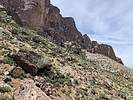 photo thumbnail #4