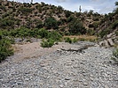 photo thumbnail #7
