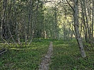 photo thumbnail #6