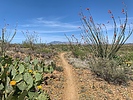 photo thumbnail #15