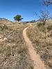 photo thumbnail #4