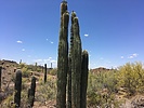 photo thumbnail #4