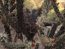photo thumbnail #7