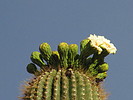 photo thumbnail #13
