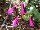 photo thumbnail #11