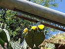 photo thumbnail #14