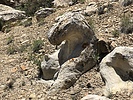 photo thumbnail #4