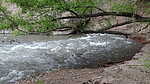 photo thumbnail #9