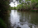 photo thumbnail #12