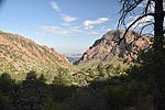 photo thumbnail #2
