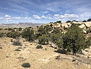 photo thumbnail #2