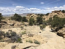 photo thumbnail #13