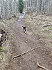 photo thumbnail #5