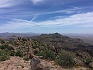 photo thumbnail #2