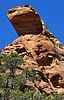 photo thumbnail #12