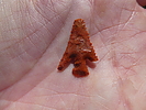 photo thumbnail #3