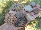 photo thumbnail #4