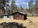 photo thumbnail #3