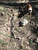 photo thumbnail #7