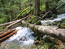 photo thumbnail #11