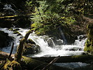 photo thumbnail #13