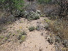 photo thumbnail #7