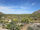 photo thumbnail #9