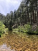 photo thumbnail #8