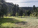 photo thumbnail #10